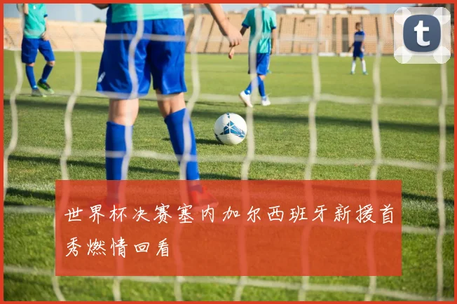 世界杯决赛塞内加尔西班牙新援首秀燃情回看