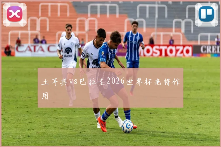 土耳其vs巴拉圭2026世界杯老将作用