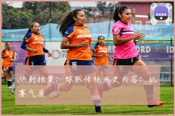 热刺档案：球队传统历史内容：比赛气质