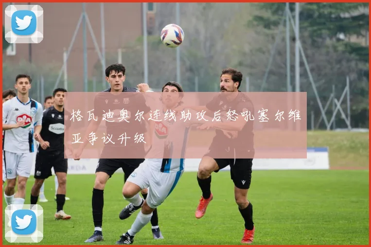 格瓦迪奥尔连线助攻后怒吼塞尔维亚争议升级
