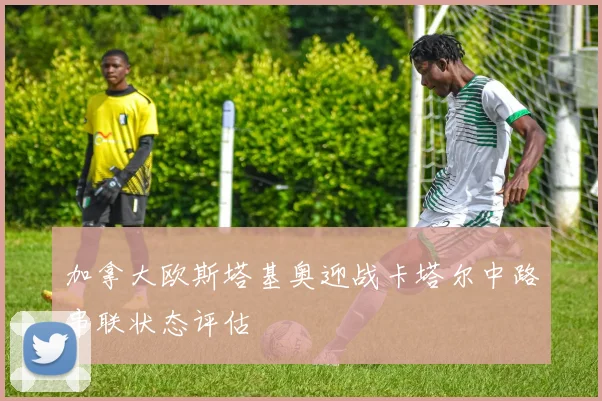 加拿大欧斯塔基奥迎战卡塔尔中路串联状态评估