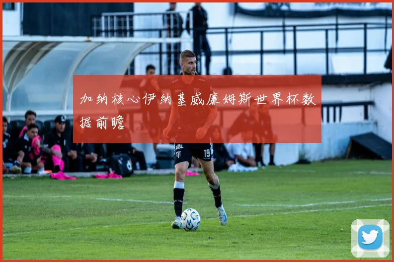 加纳核心伊纳基威廉姆斯世界杯数据前瞻