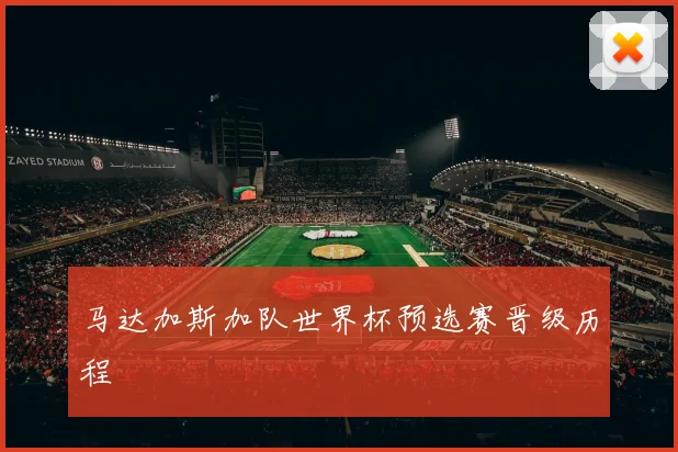 马达加斯加队世界杯预选赛晋级历程