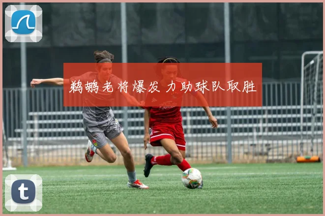 鹈鹕老将爆发力助球队取胜