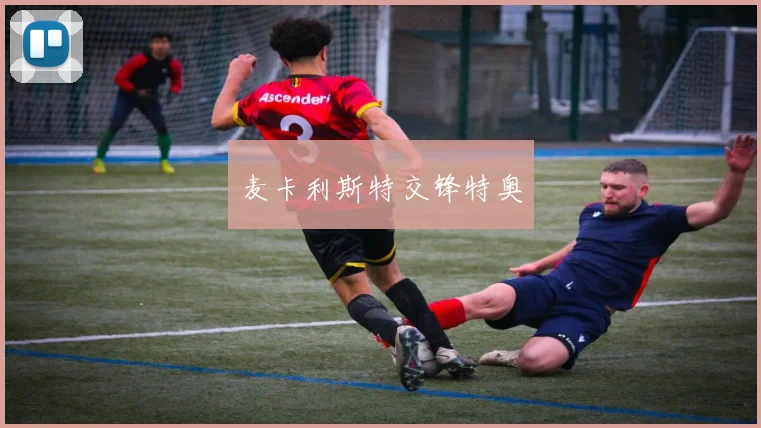 麦卡利斯特交锋特奥