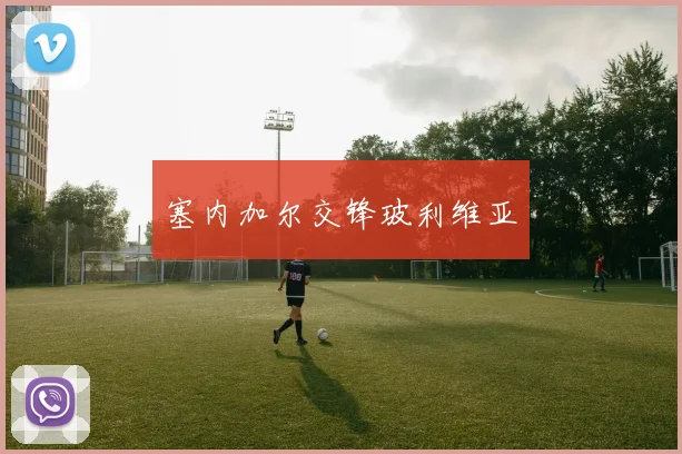 塞内加尔交锋玻利维亚