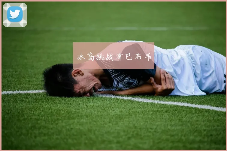 冰岛挑战津巴布韦