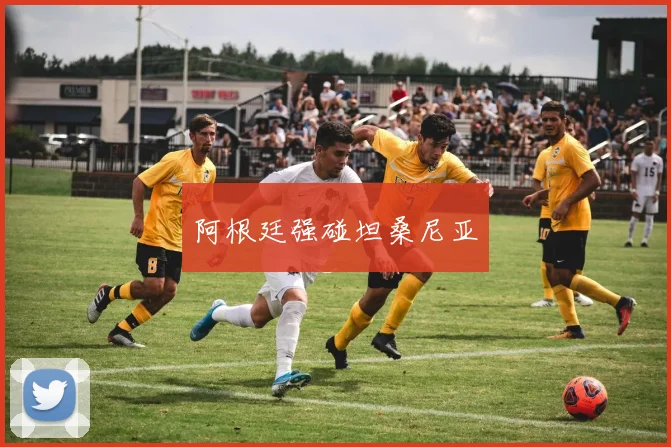 阿根廷强碰坦桑尼亚