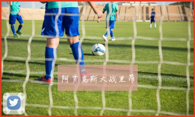 阿贾克斯大战里昂