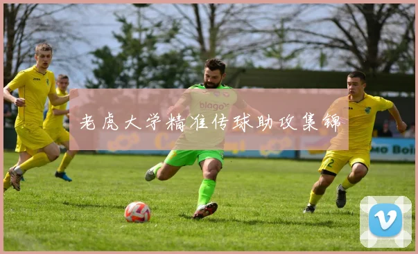 老虎大学精准传球助攻集锦