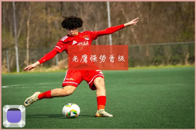 老鹰强势晋级