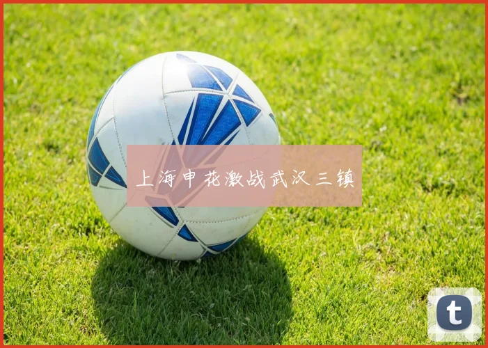 上海申花激战武汉三镇