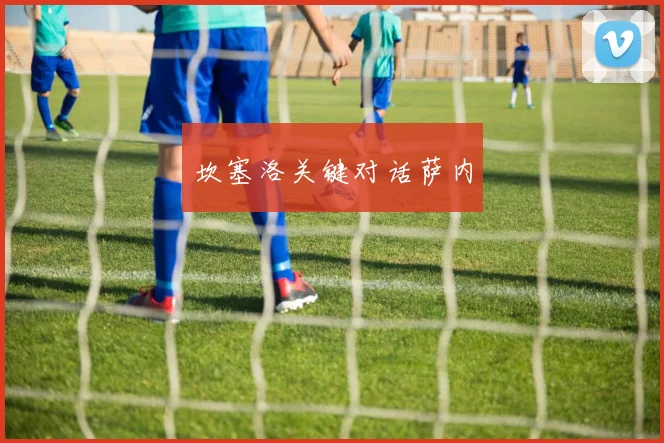 坎塞洛关键对话萨内