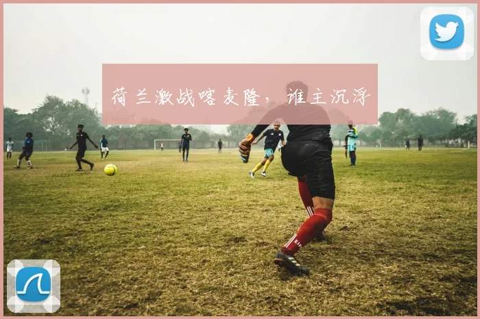 荷兰激战喀麦隆，谁主沉浮