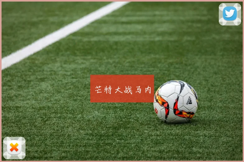 芒特大战马内