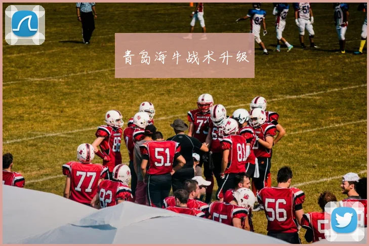 青岛海牛战术升级