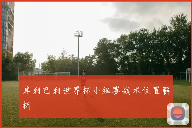 库利巴利世界杯小组赛战术位置解析