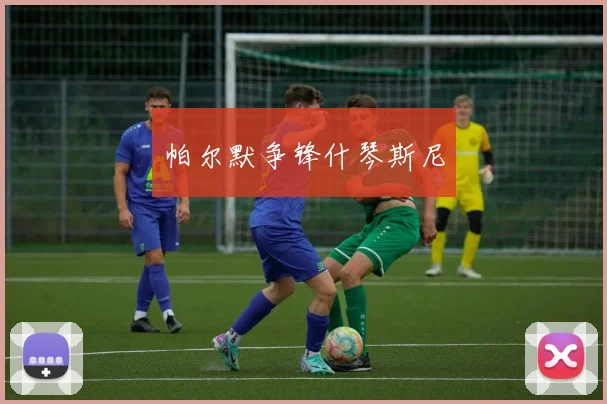 帕尔默争锋什琴斯尼