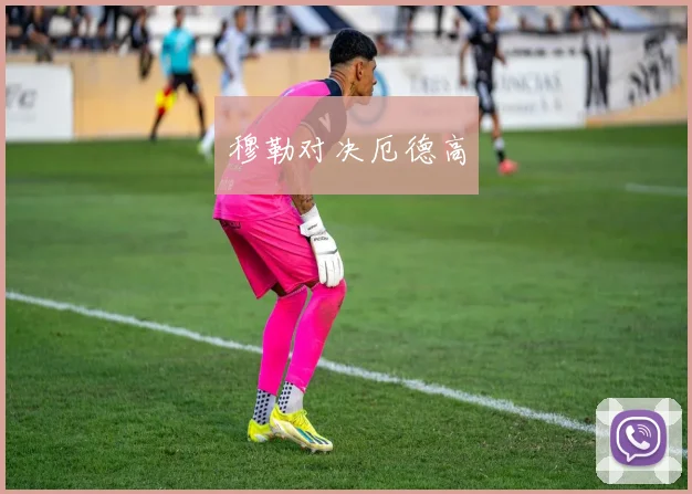 穆勒对决厄德高