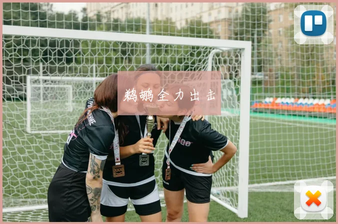 鹈鹕全力出击