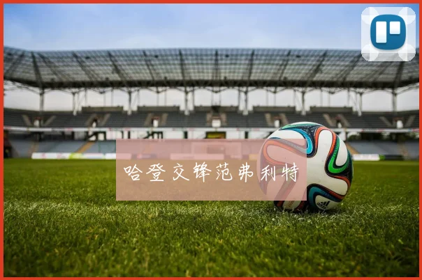 哈登交锋范弗利特