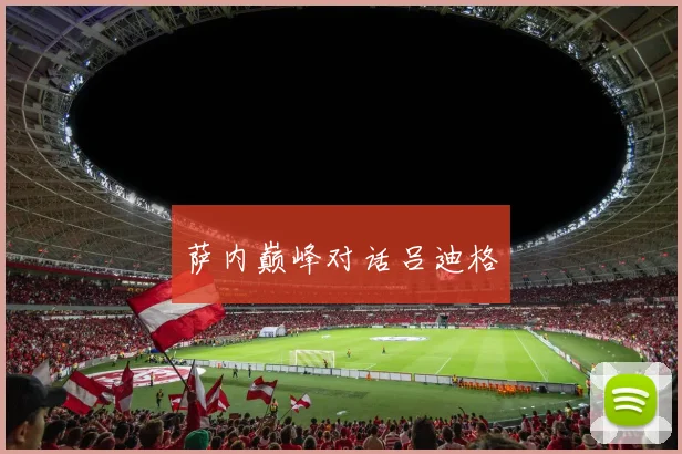 萨内巅峰对话吕迪格