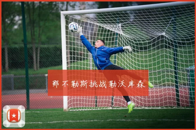 那不勒斯挑战勒沃库森