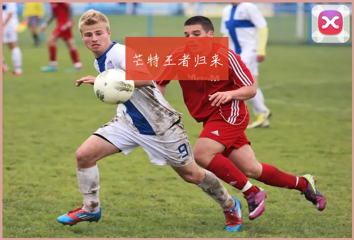 芒特王者归来
