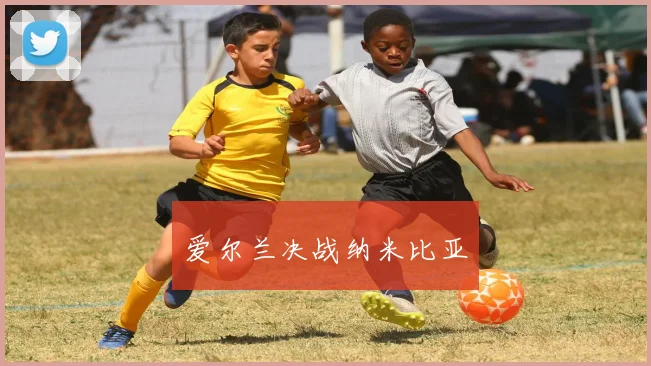 爱尔兰决战纳米比亚