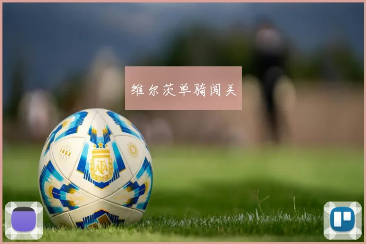 维尔茨单骑闯关