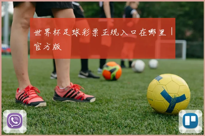 世界杯足球彩票正规入口在哪里｜官方版