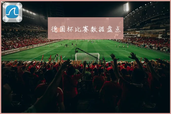 德国杯比赛数据盘点