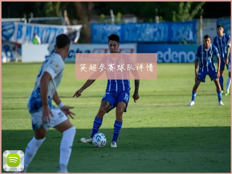 英超参赛球队详情