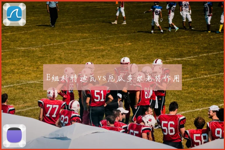 E组科特迪瓦vs厄瓜多尔老将作用